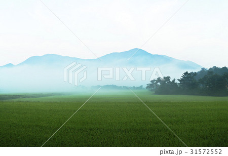 山 げー 忠南 31572552