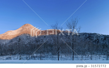 冬 扶余郡 雪景色 31572772