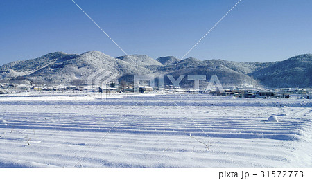 冬 扶余郡 忠南 31572773