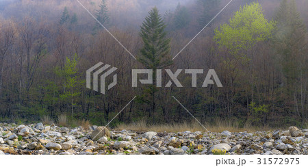 江原道 国立公園 五台山 31572975