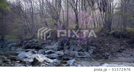 江原道 谷 五台山 31572976