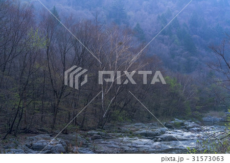 江原道 国立公園 五台山 31573063