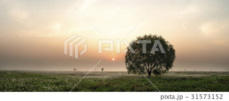 京畿道 キョンギド 夕焼け 31573152