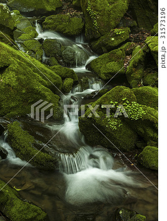 岩 石 グー 31573196