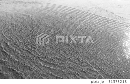 江陵市 江原道 モノトーン 31573218