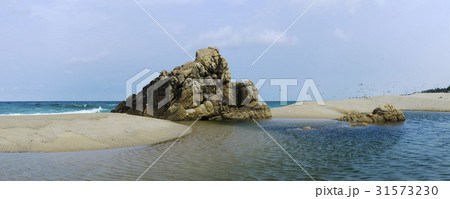 海 岩 石 31573230