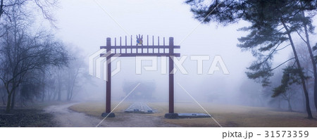 京畿道 キョンギド 銅東九陵 31573359