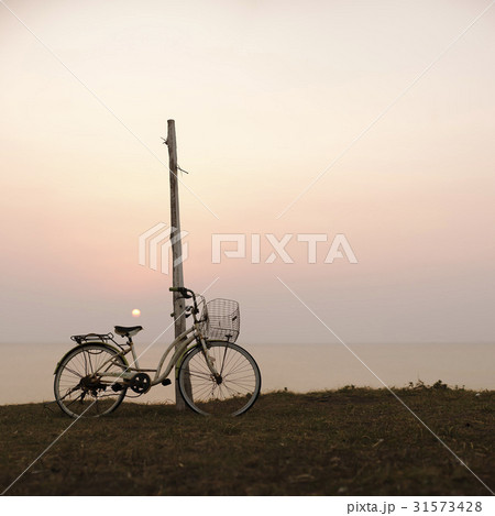 西帰浦市 霧 自転車 31573428