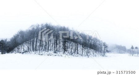 江原道 雪景色 朝 31573500