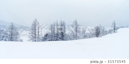 江原道 山 平昌郡 31573545