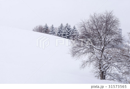 江原道 木 平昌郡 31573565