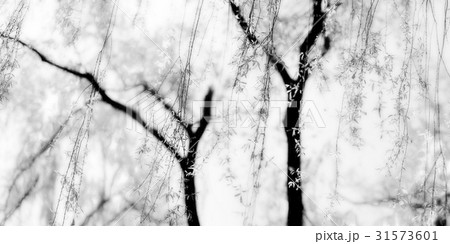 江南区 上手編み モノトーン 31573601