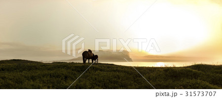 光打撃海岸 西帰浦市 城山日出峰 31573707