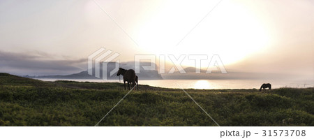 光打撃海岸 城山日出峰 済州島 31573708