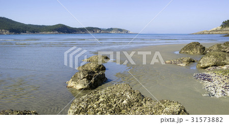 海 岩 石 31573882