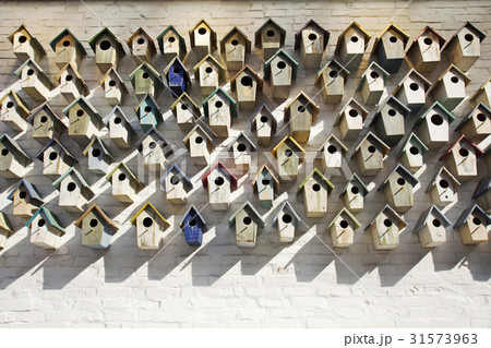 とっつき ぶら下がる 壁 31573963