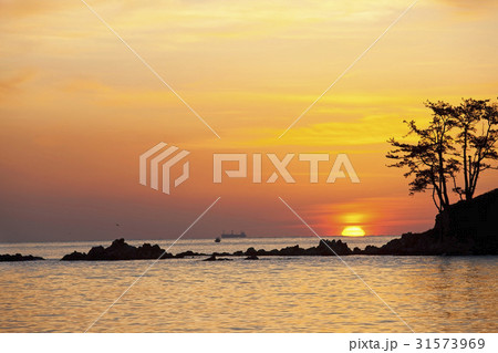 ミョンソンド 蔚山 蔚州 31573969