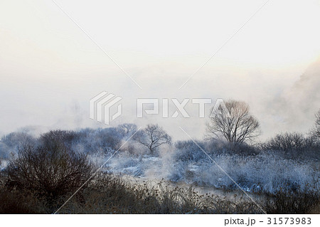 江原道 昭陽江 霧 31573983