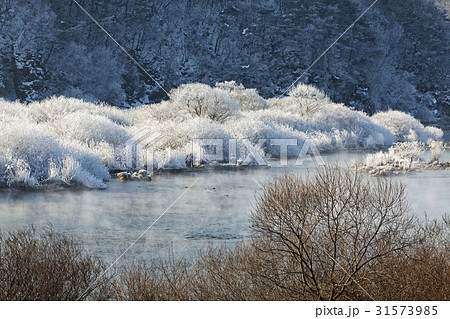 江原道 昭陽江 霧 31573985