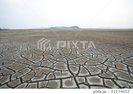 割れ 干潟 京畿道 31574032