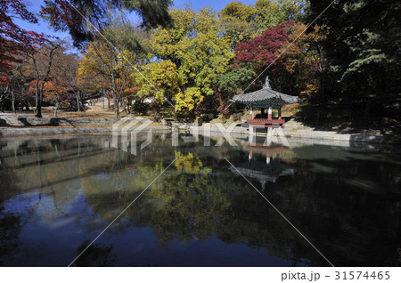 ソウル エリョンジョン 鍾路区 31574465