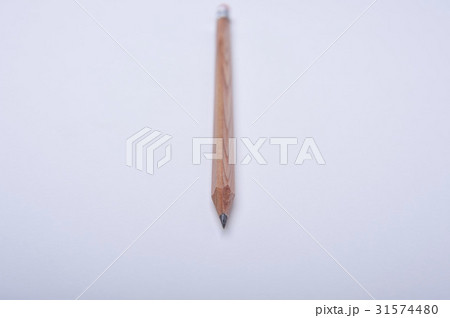 ヌキ 切り抜き 室内 31574480