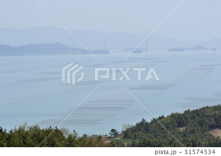 海 養殖場 自然 31574534