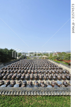 ソイル農園 一列 かめ 31574573