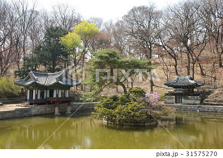 古建築 文化財 悲願 31575270