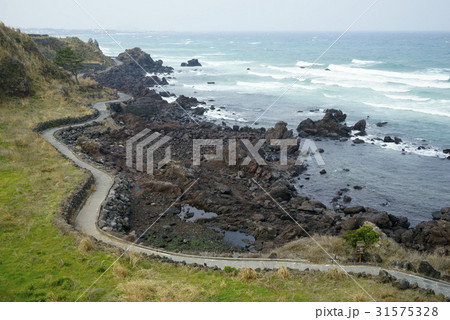 海 オレの道 済州島 31575328