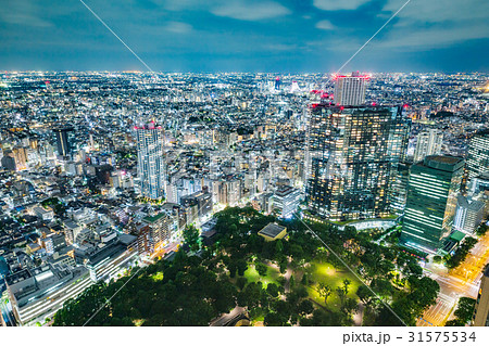 東京の夜景 東京の夜景 31575534