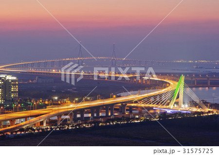 橋 松島 夜景 31575725