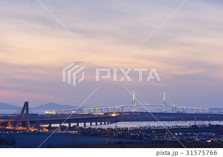 橋 松島3校 夜景 31575766