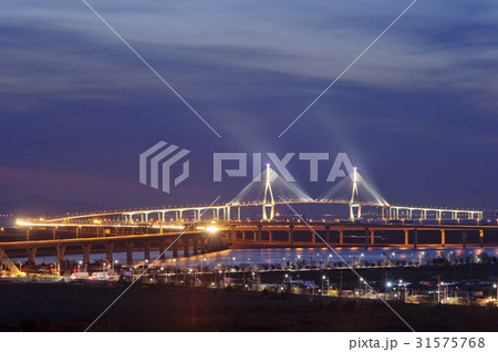 都市 都会 夜景 31575768