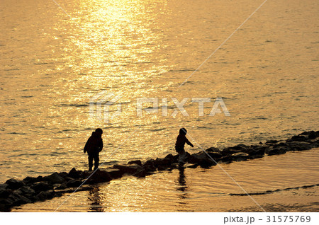 グボンも 夕焼け シルエット 31575769