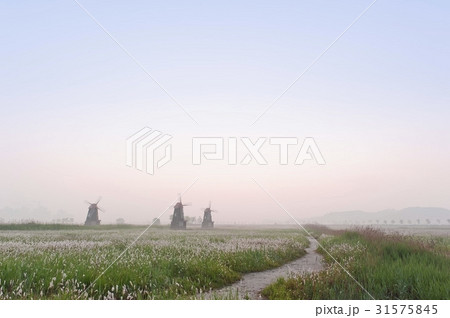 公園 霧 仁川 31575845