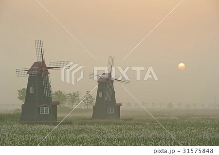 生態公園 霧 仁川 31575848