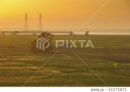 送電塔 草原 太陽 31575872