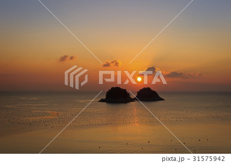 無スルモク 海 島 31575942