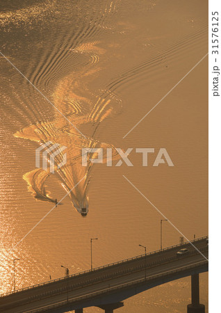 川 河 金剛 31576125