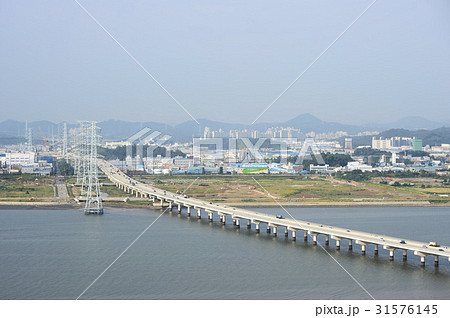 道路 市花大橋 始華湖 31576145