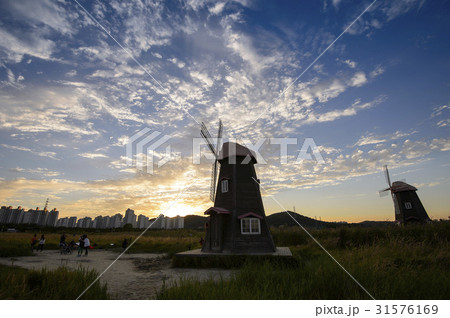 生態公園 風車 空 31576169