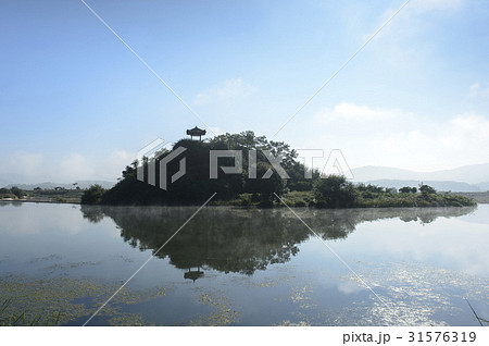 木 常春チョン 朝 31576319