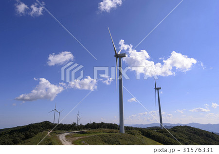 猛園 山 屋外 31576331