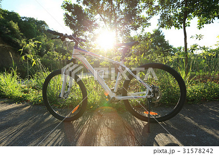 mountain bike on sunrise forest trail 31578242