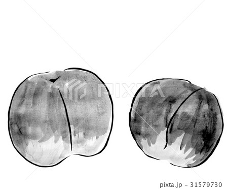 桃 水墨画のイラスト素材 [31579730] - PIXTA