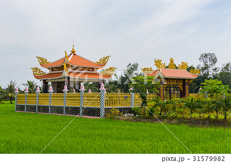 Chinese architecture in the rice field Chinese architecture in the rice field 31579982