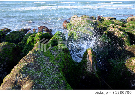 台湾 観光 見物 31580700