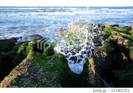 台湾 観光 見物 31580701