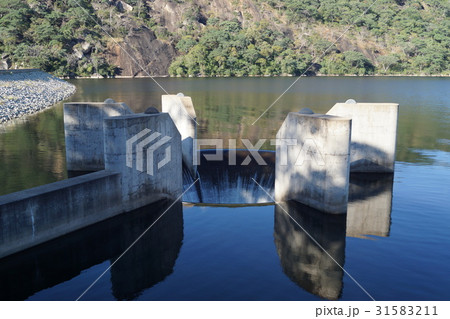 ジンバブエのマジカディダム 31583211